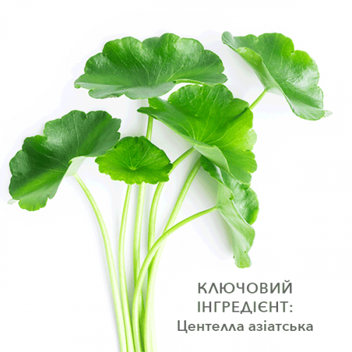 Meder Soin-Apax Serum 50ml Антиоксидантна сироватка для чутливої шкіри Суан-Апакс