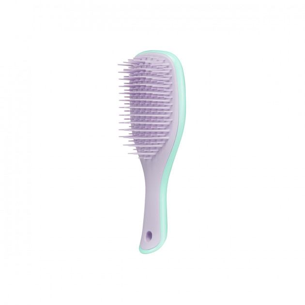 Щітка Tangle Teezer The Wet Detangler Mini Wisteria  Leaf
