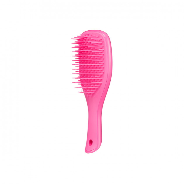 Щітка Tangle Teezer The Wet Detangler Mini Pink  Sherbet