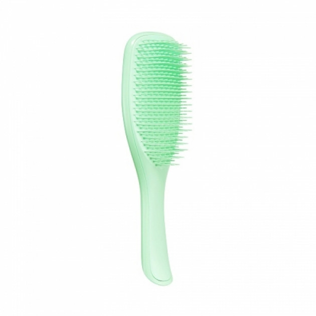Щітка Tangle Teezer The Wet Detangler Mint  Karma