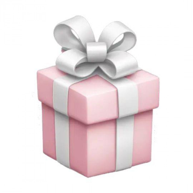 Різдвяний подарунок від France Up 2