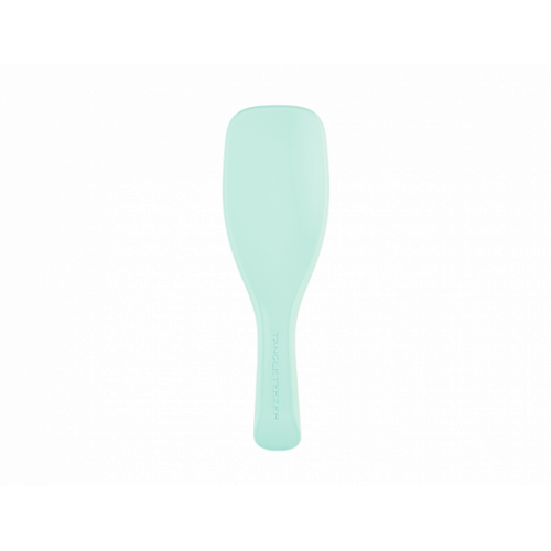 Щітка Tangle Teezer The Wet Detangler Fine & Fragile Sea Spray Green1
