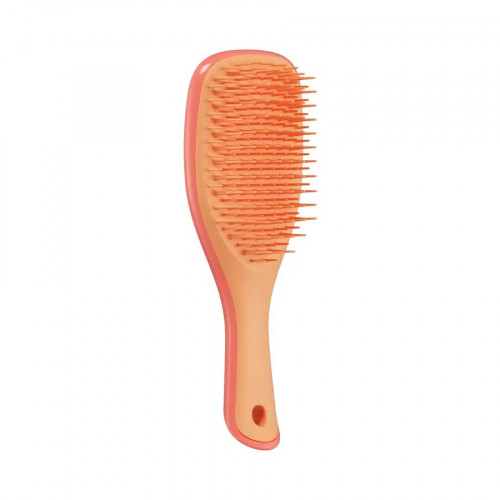Щітка для волосся Tangle Teezer The Ultimate Detangler Mini Salmon Pink & Apricot