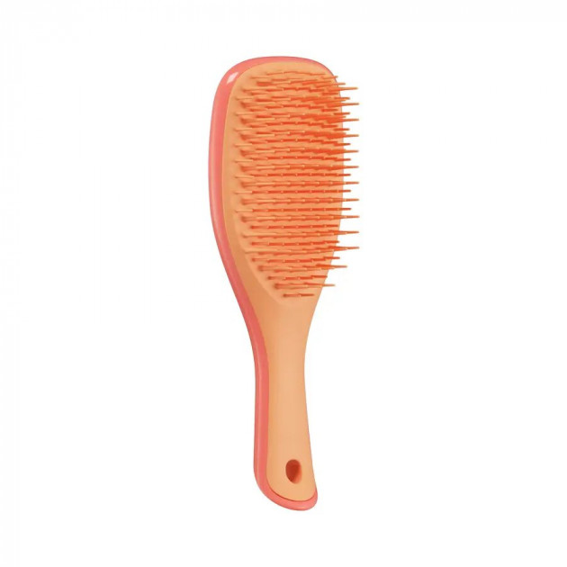 Щітка для волосся Tangle Teezer The Ultimate Detangler Mini Salmon Pink & Apricot
