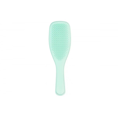Щітка Tangle Teezer The Wet Detangler Fine & Fragile Sea Spray Green