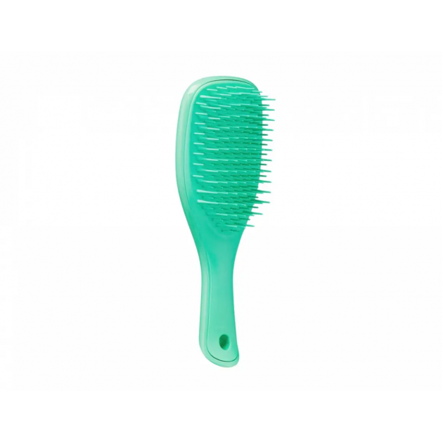 Щітка Tangle Teezer The Wet Detangler Mini Green Lizard